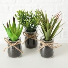 Boltze Home Sukkulente en pot Ø10x17cm plante artificielle en pot en verre