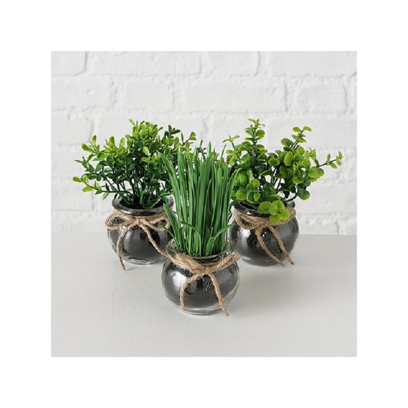 Boltze Home Sukkulente in pot Ø13x15cm