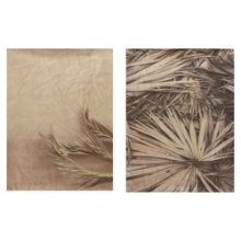 Wanddoek met ophangogen 90x120cm fotoprint met palmblad 2 stuks