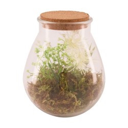 Dijk Natural Collections Vase en verre avec plante artificielle Ø19,5x23,5cm