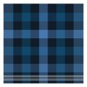 DDDDD Theedoek feller 60x65cm blue per 6 stuks