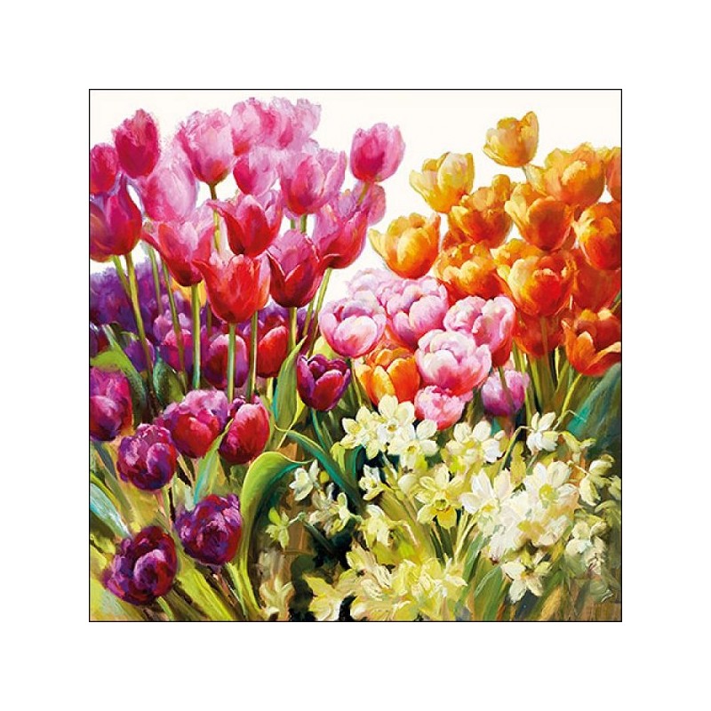 Serviettes Ambiente 25x25cm Tulipes 20 pcs