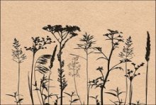 Serviettes Ambiente 33x33cm Herbes Et Fleurs Noir 20 pcs