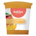 Bolsius Gegeurde Votive 53/45 TS Mango pak a 12 stuks