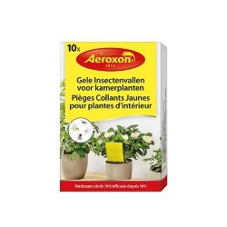 Aeroxon Pièges à insectes jaunes pour plantes d'intérieur boîte de 10 pièces