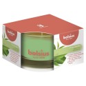 Bolsius Geurglas 50/80 True Scents Green Tea