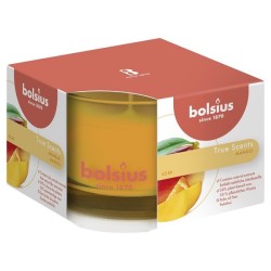 Bolsius Geurglas 63/90 True Scents Mango
