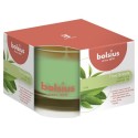 Bolsius Geurglas 63/90 True Scents Green Tea