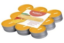 Les bougies chauffe-plat parfumées Bolsius 4 heures contiennent un 18ème True Scents Mangue