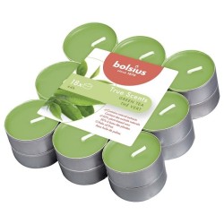 Bolsius Bougies chauffe-plat parfumées 4 heures pack de 18 Thé vert True Scents