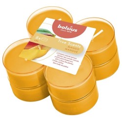Bolsius Fragrance maxi bougies chauffe-plat 8 heures pack de 8pcs True Scents Mangue