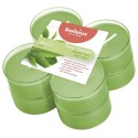 Bolsius Fragrance maxi bougies chauffe-plat 8 heures pack de 8 pièces True Scents Thé vert