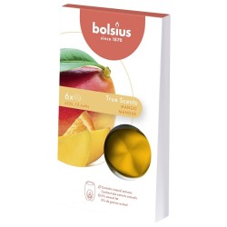 Bolsius Cire Parfumée Meltable Pack de 6 True Scents Mangue