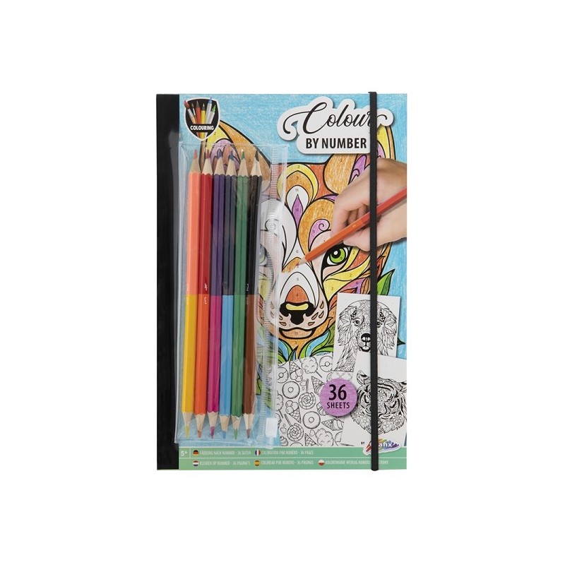 Grafix Color par numéro 36 feuille 23x16cm avec 6 crayons duo