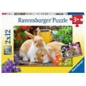 Ravensburger puzzle Câlins 2x12 pièces
