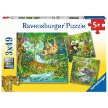 Puzzle Ravensburger Dans la jungle 3x49 pièces
