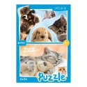 Rebo Bébés animaux - puzzle 2 x 24 pièces