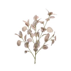 Decoris Fleur artificielle d'Eucalyptus en polyester L29-L9-H85cm marron clair