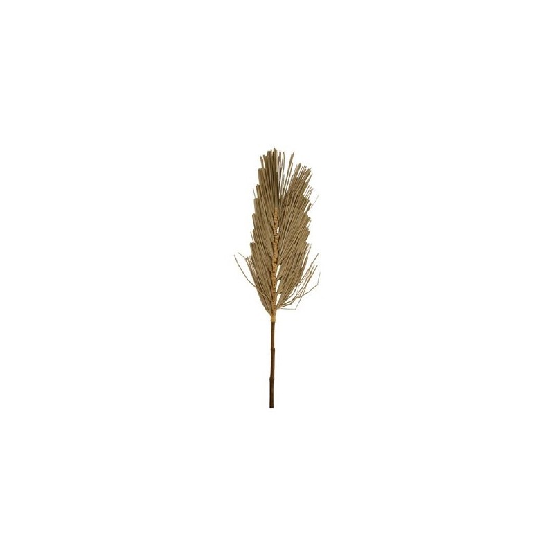 Dijk Natural Collections Palmblad naturel 28x1.3x99cm wanddeco