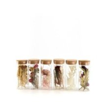 Dijk Natural Collections Pot en verre avec fleurs séchées Ø5x12,5cm