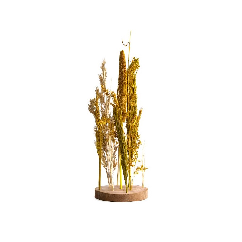Dijk Natural Collections Fleurs séchées avec support Ø15x30cm jaune
