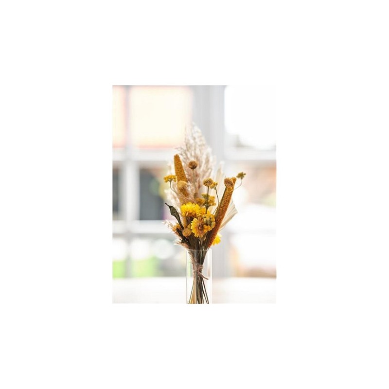 Dijk Natural Collections Paquet Fleurs séchées jaune 36x23,5x3cm