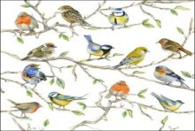 Ambiente Servetten Birds Meeting 25cm 20 stuks