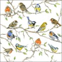 Ambiente Servetten Birds Meeting 33cm 20 stuks