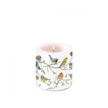 Ambiente Petite Bougie Oiseaux Réunion Ø7,5xh8cm Paraffine