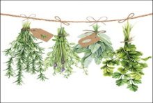 Ambiente Servetten Fresh Herbs 25cm 20 stuks