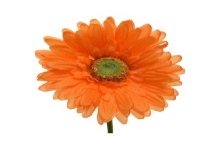 Decoris Gerbera polyester dia10-H50cm