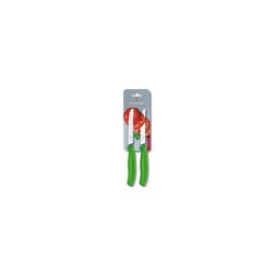 Victorinox Couteau de table/tomate dentelé vert 2 pièces sur carte