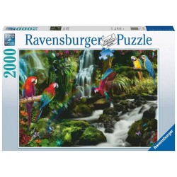 Ravensburger Bonte papegaaien in de jungle puzzel 2000 stukjes