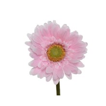 Decoris kunstbloem Gerbera polyester dia.10x50cm zacht roze
