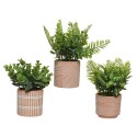 Decoris Kunstplant groen varen/vetplant 9x9x18cm 3 assorti