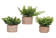 Decoris Kunstplant groen varen/vetplant 9x9x18cm 3 assorti