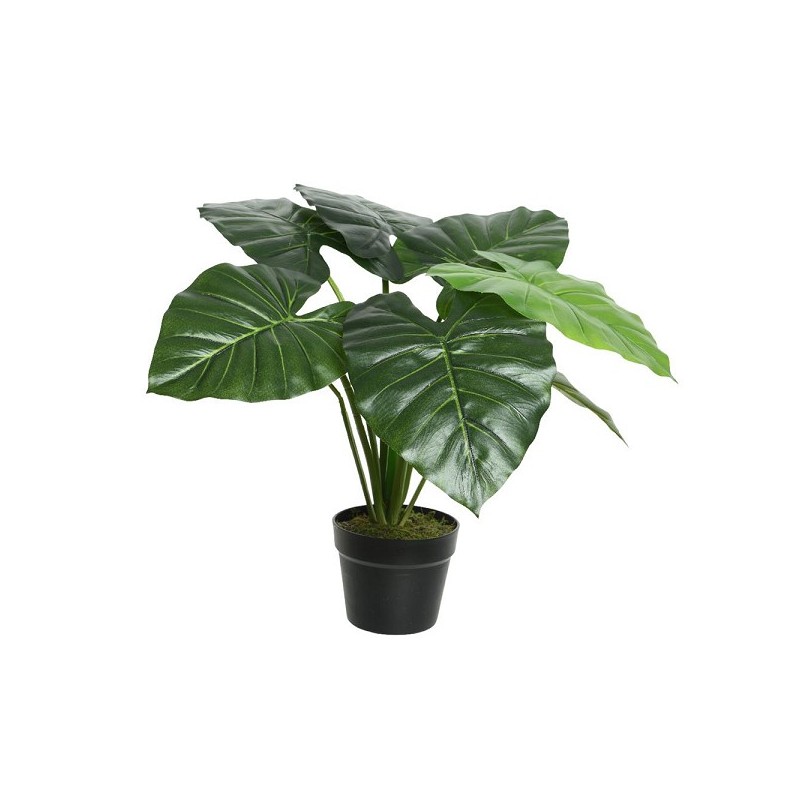 Decoris Kunstplant Taro in pot kunststof 8 bladeren 69x69x52cm groen