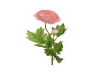 Decoris Kunstbloem Ranonkel blooem met knopje  polyester 8x10x57cm zacht roze