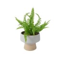 Decoris Kunstplant Varen in pot kunststof pot dia15.30 15,3x15,3x24cm groen