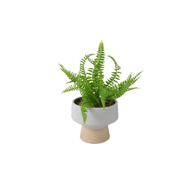 Decoris Kunstplant Varen in pot kunststof pot dia15.30 15,3x15,3x24cm groen