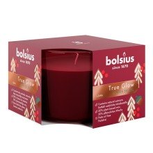 Bolsius Geurglas 63/90 True Scents Winterspices