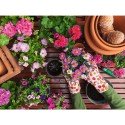 Ravensburger puzzel Liefde voor de tuin 500 stukjes