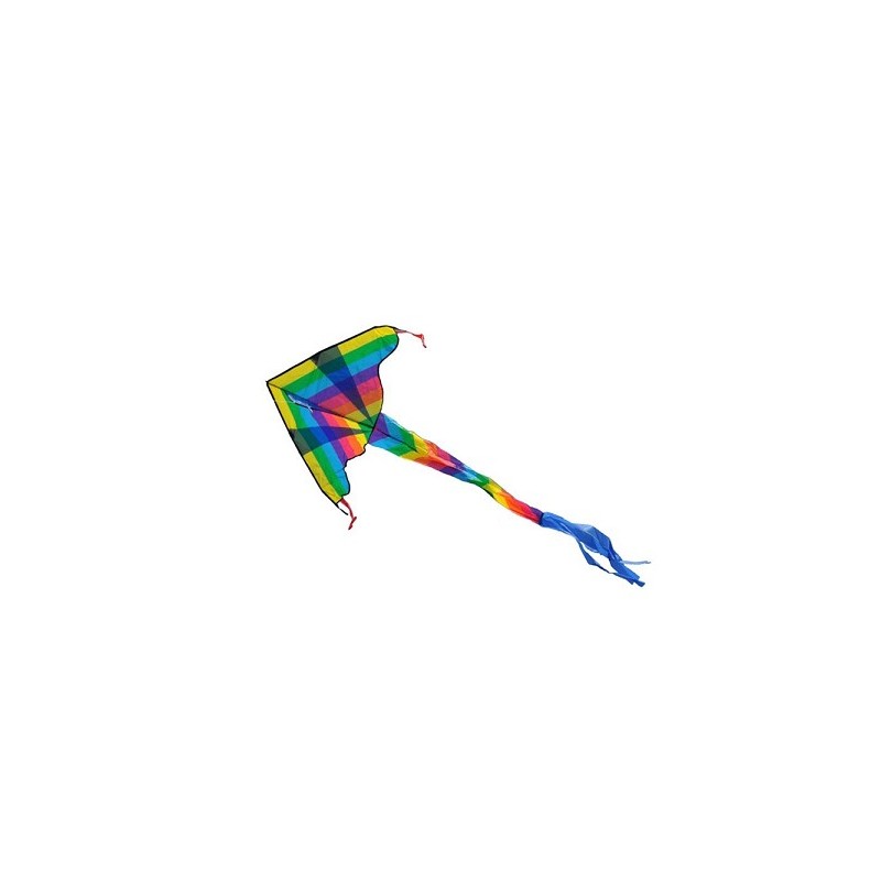 Vlieger coloured dragon 102x57cm