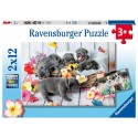 Ravensburger Puzzle Boule de poils mignonne 2x12 pièces