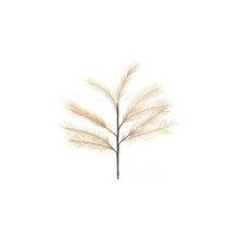 HBX natural living Branche d'herbe Plume avec éclairage LED 72cm Café