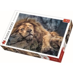 Trefl Puzzle Lion endormi 1000 pièces
