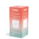 Bolsius Clean Light Recharge Parfum 20h Cyprès & Ambre boîte de 2 pièces