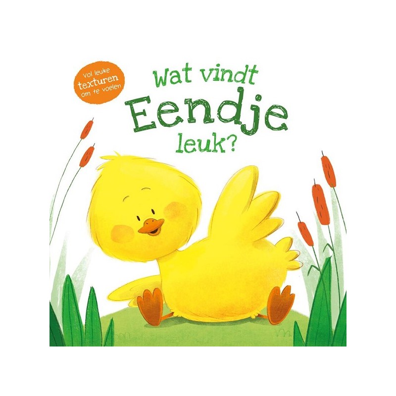 Rebo Wat vindt Eendje leuk?