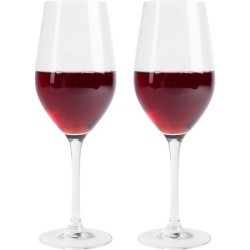 L'atelier Du Vin set a 2 rode wijnglazen 450ml h24cm