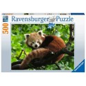 Ravensburger Puzzle panda roux mignon 500 pièces